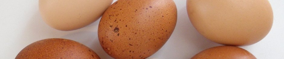 Oh joy, it's Chicken Day!