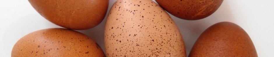 Oh joy, it's Chicken Day!