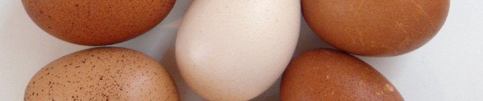 Oh joy, it's Chicken Day!