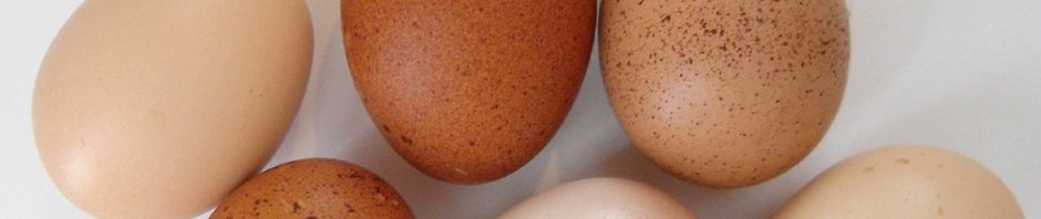 Oh joy, it's Chicken Day!