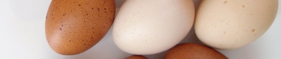 Oh joy, it's Chicken Day!