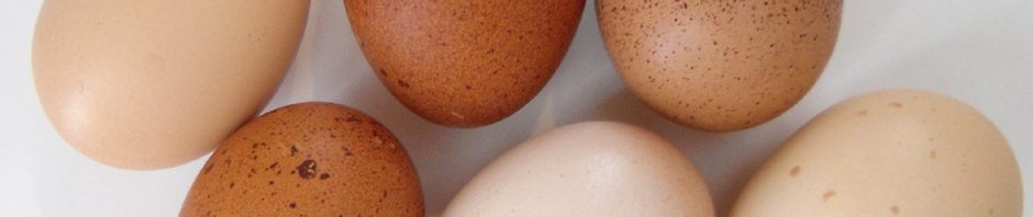 Oh joy, it's Chicken Day!