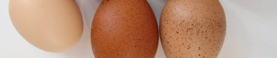 Oh joy, it's Chicken Day!