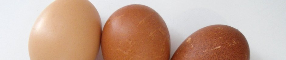 Oh joy, it's Chicken Day!