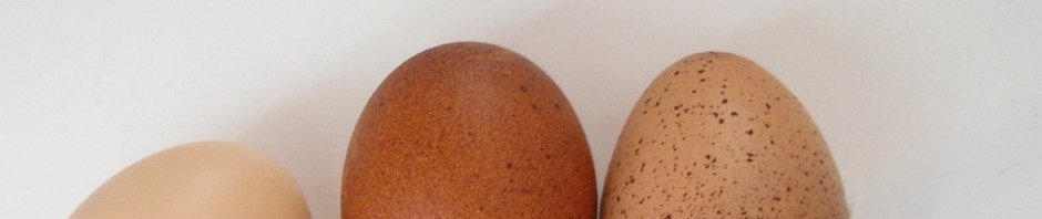 Oh joy, it's Chicken Day!