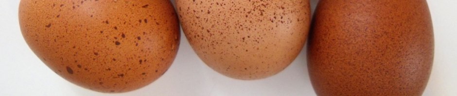 Oh joy, it's Chicken Day!